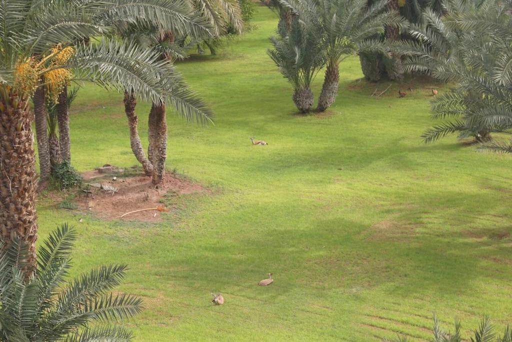 Riad Nolya Luxury Marrakech - Totalement Renove - Capacite Jusqu A 10 Lits Spacieux Marrakesh Eksteriør bilde