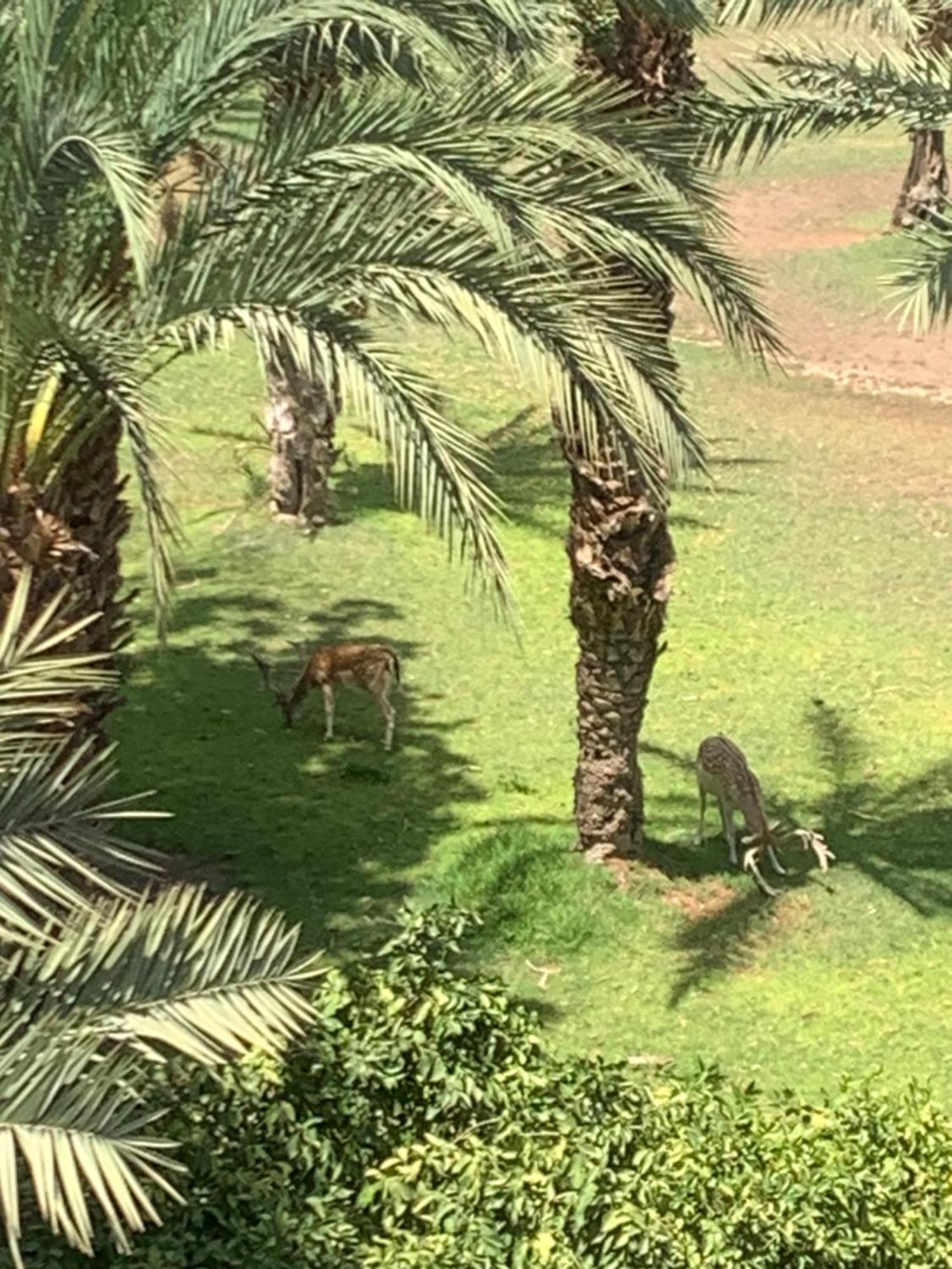 Riad Nolya Luxury Marrakech - Totalement Renove - Capacite Jusqu A 10 Lits Spacieux Marrakesh Eksteriør bilde